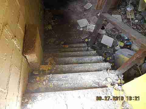 1085 Patricia (7)_m.jpg